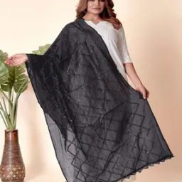 Women Embellished Dupatta-image-77