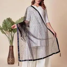 Women Embellished Dupatta-picture-19