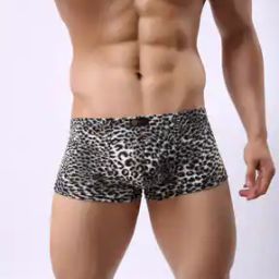 Men Boxer Briefs-image-59