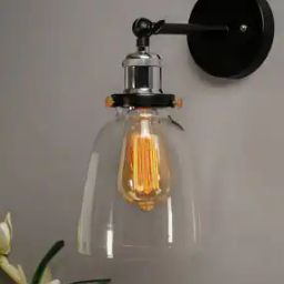 Industrial Glass Bell Wall Lamp-17
