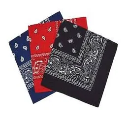 aadikart Men Pack of 3 Paisley Print Bandanas-picture-15
