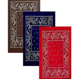 Cotton Paisley Bandanas-image-87
