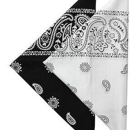 Unisex Pack of 2 Paisley Print Cotton Bandanas-image-30