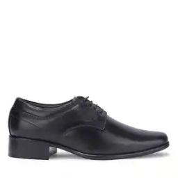 Men Lace-Up Regular Fit Formal Shoes-image-65