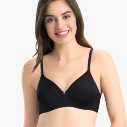 Lightly-Padded Non-Wired Full Coverage Seamless Classic Concealer T-Shirt Bra - EB012-picture-41