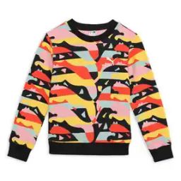 Graphic Print Regular Fit Crew-Neck Sweatshirt-picture-14