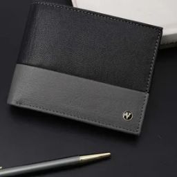 Men Colourblock Bi-Fold Wallet-picture-30