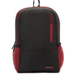 Laptop Backpack with Adjustable Straps-image-100