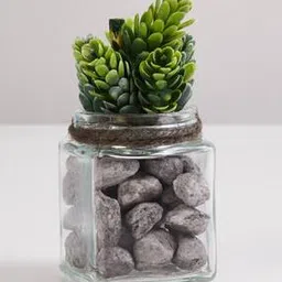 Corsica Eden Artificial Plant Glass Jar-23