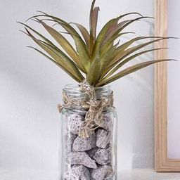 Corsica Tricia Artificial Succulent in Glass Jar-image-43