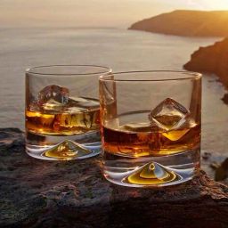 dartington Set of 2 Whiskey Glasses image 1