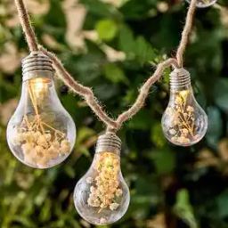 Pack of 8 Serena Amora String Lights-18