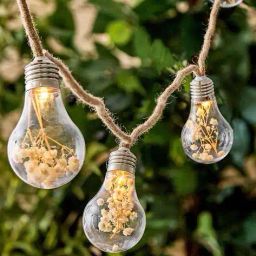 home centre Pack of 8 Serena Amora String Lights image 1