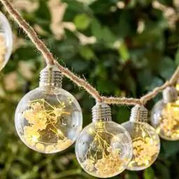 Pack of 8 Serena Amora Decorative String Lights-image-0