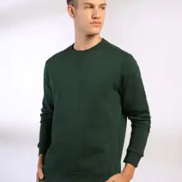 Men Regular Fit Sweatshirt with Ribbed Hem-image-95