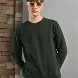 Men Regular Fit Crew-Neck Sweatshirt-image-16