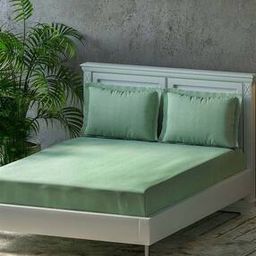 300 TC Cotton Queen-Size Bedsheet with Pillow Covers-43