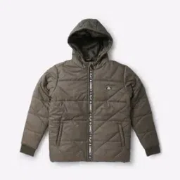 Puffer Hoodie with Insert Pockets-picture-33