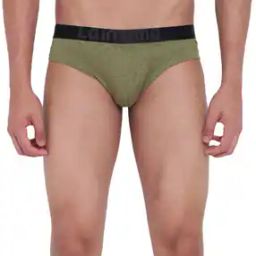Geometry Printed Regular Briefs-50