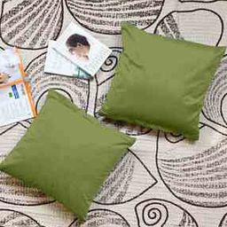 Set of 2 Microfiber Cushion Covers-image-22