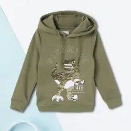 Boys Regular Fit Sweatshirt-11