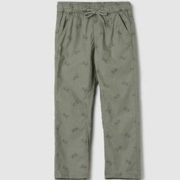 Boys Printed Straight Fit Flat-Front Trousers-20