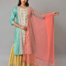 Women Mesh Dupatta with Sequins-image-34