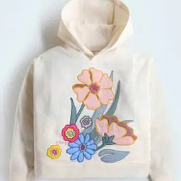 Girls Embroidered Regular Fit Hooded Sweatshirt-image-44