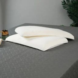 hosta homes Set of 2 Memory Form Rectangular Pillows image 1