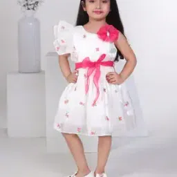 Girls Embroidered Fit and Flare Dress with Belt-image-6
