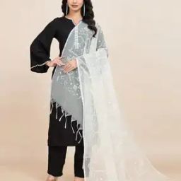 Women Net Embroidered Khadi Dupatta-picture-1