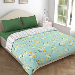haus & kinder Printed Reversible AC Single Comforter image 1
