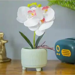 White Orchid Flowers With White Tumbler Pot-37