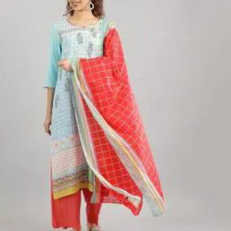 Checked Dupatta with Contrast Border-14