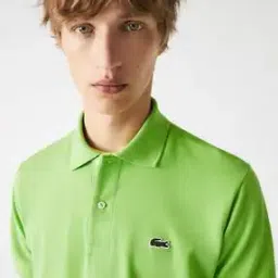 Collared Half-Sleeves T-Shirt-image-2
