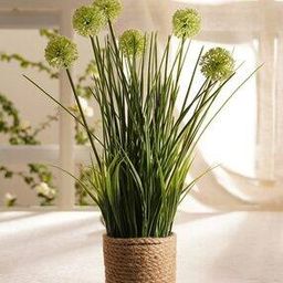 pure home and living Artificial Onion Flower with Rattan Basket-picture-22