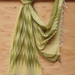 Ikat Print Handloom Woven Cotton Dupatta-21