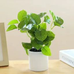 Artificial Plant with Pot-picture-46