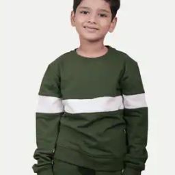 Boys Colourblock Regular Fit Sweatshirt-picture-43