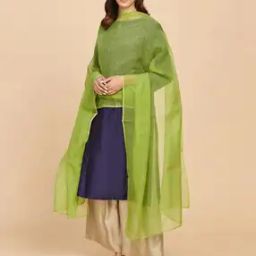 Woven Dupatta with Contrast Border-15