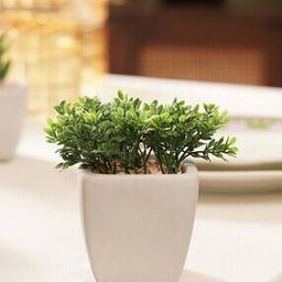 Artificial Plant in Cement Pot - Medium-40
