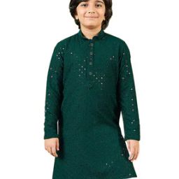 Boys Embroidered Regular Fit Kurta with Mandarin Collar-image-2