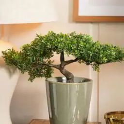 Porcelain Large Pot-20