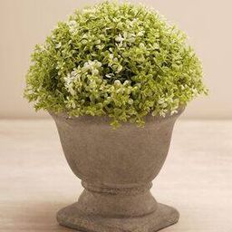 Faux Plant with Pot-picture-34