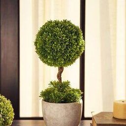 Faux Plant with Pot-29