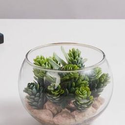 Corsica Eden Transparent Artificial Succulent in a Glass Jar-17