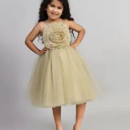 Girls Fit and Flare Dress-image-86