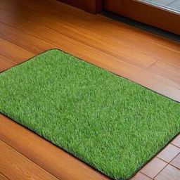 Artificial Grass Doormat-image-0