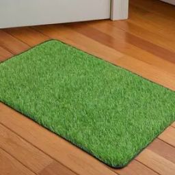 Artificial Grass Doormat-24