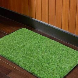 Artificial Grass Doormat-image-94